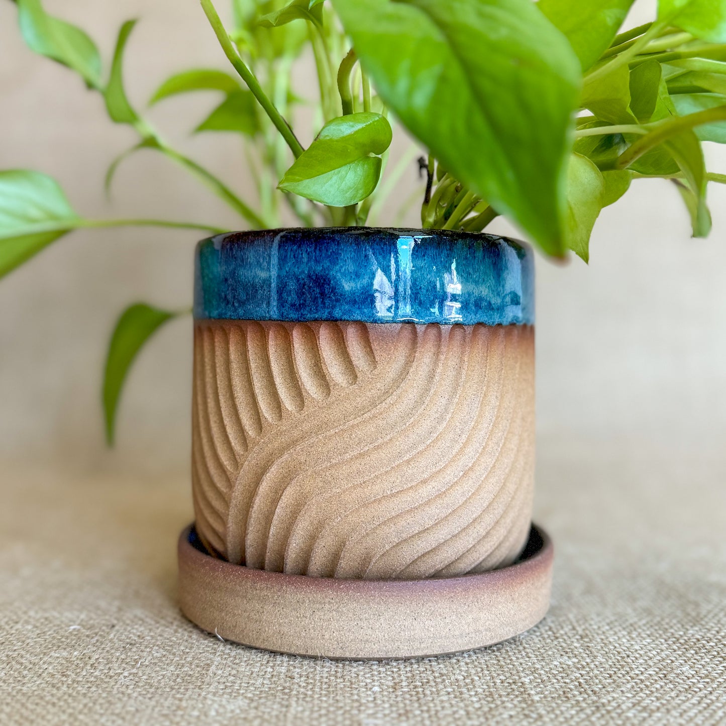 Planter: Handmade ceramic Planter