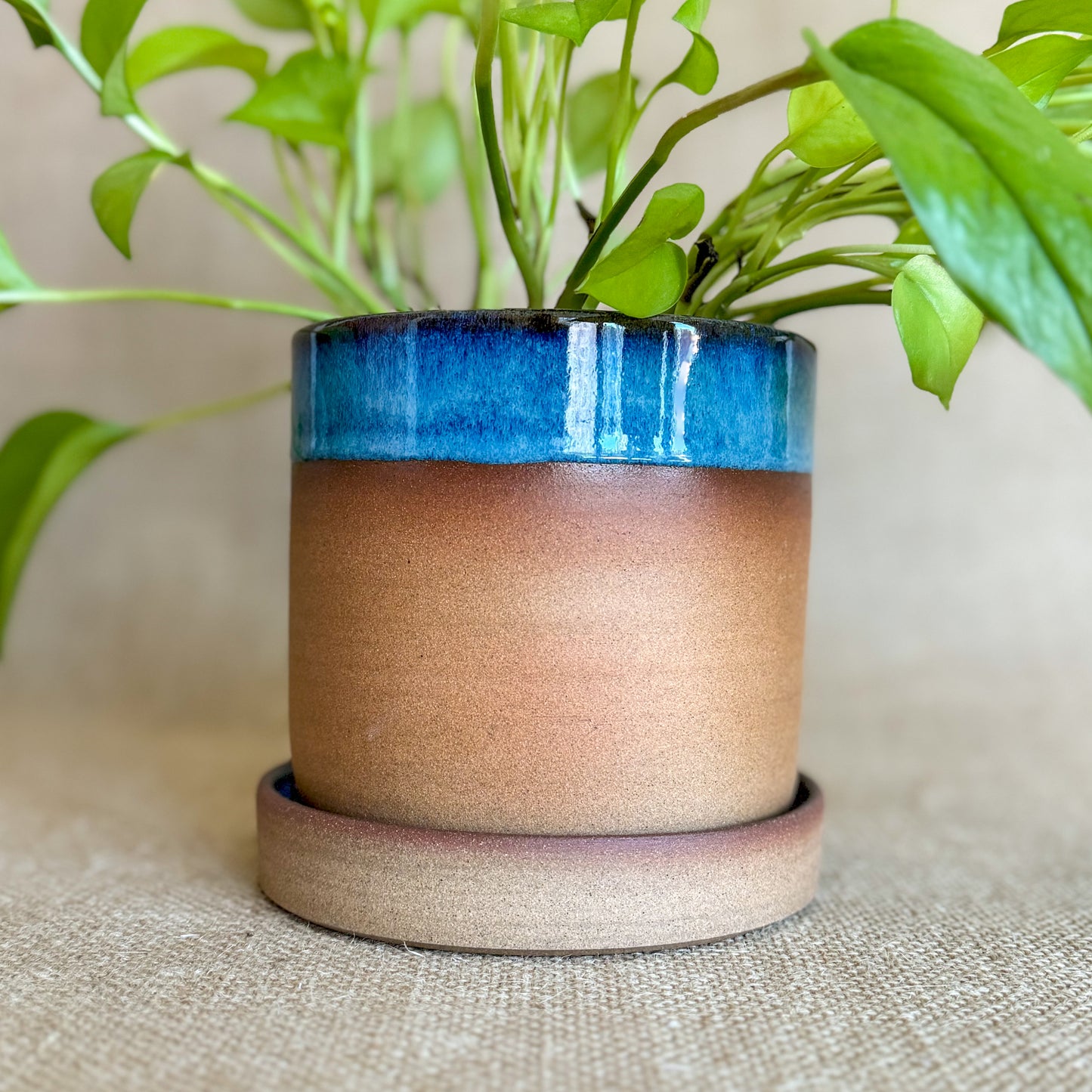 Planter: Handmade ceramic Planter