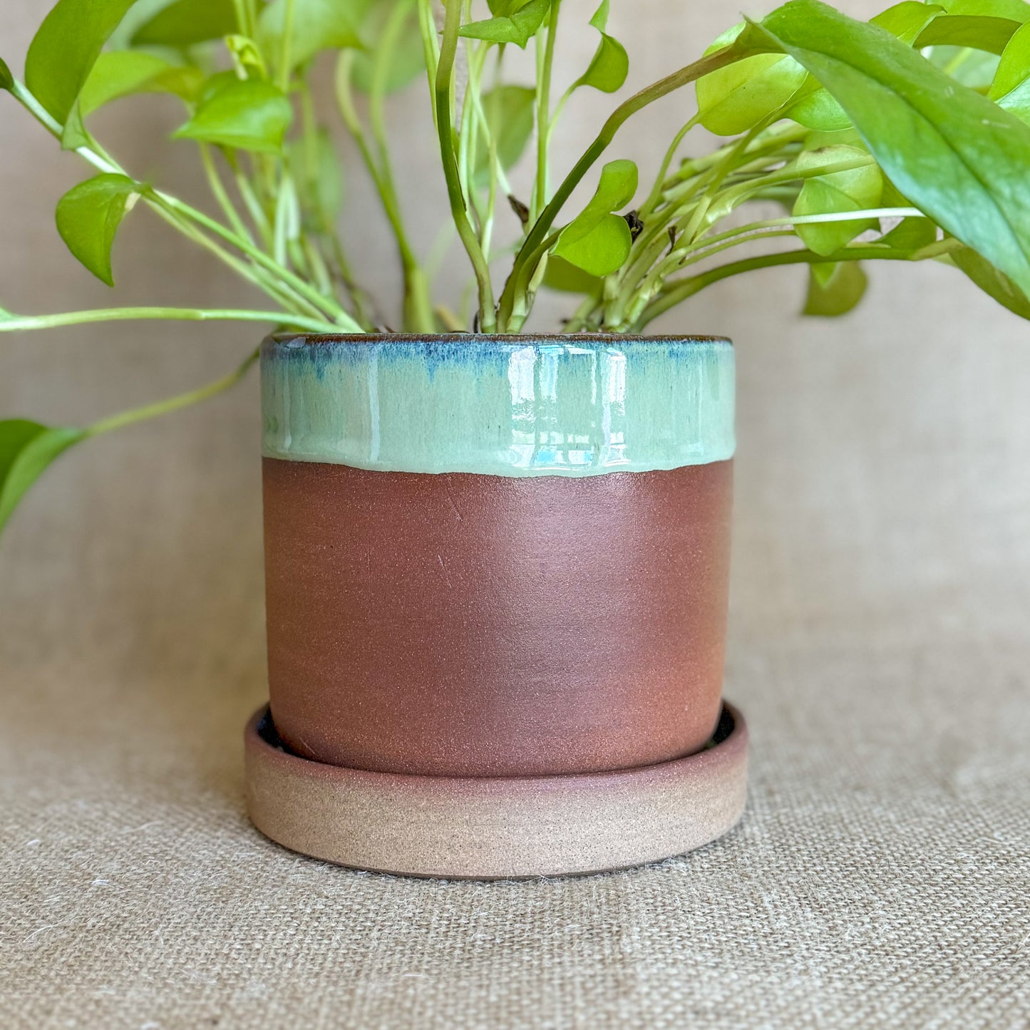 Planter: Handmade ceramic Planter